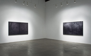 BRIAN FORREST - Installation View, December, 2010, photograph, black and white, trees