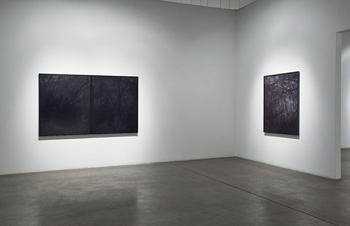 BRIAN FORREST - Installation View, December 2010, photograph, black and white, trees